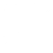 Tulips and Trinkets logo in white